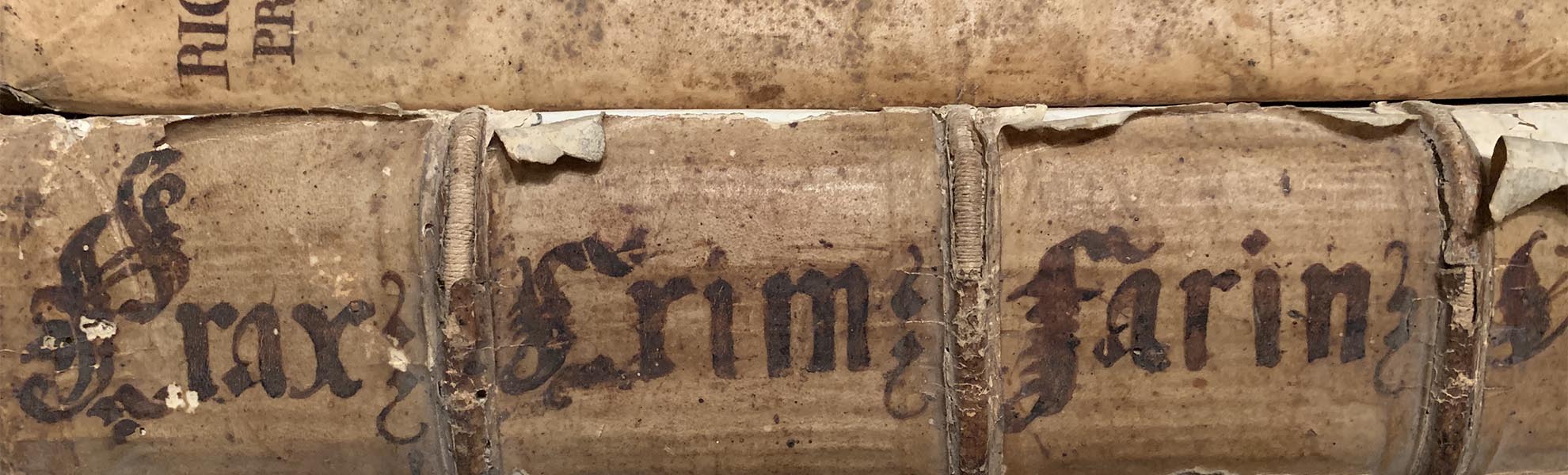 diritto di famiglia - studio Mellone